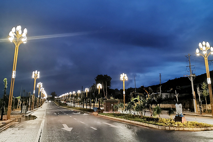 ゴールデンナユン活性ポート